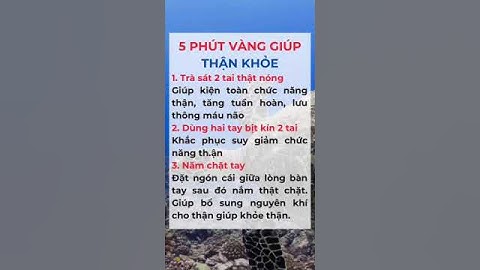 5 Phút Vàng Giúp Thận Khoẻ #dsdaiminh #dinhduong #shorts #health