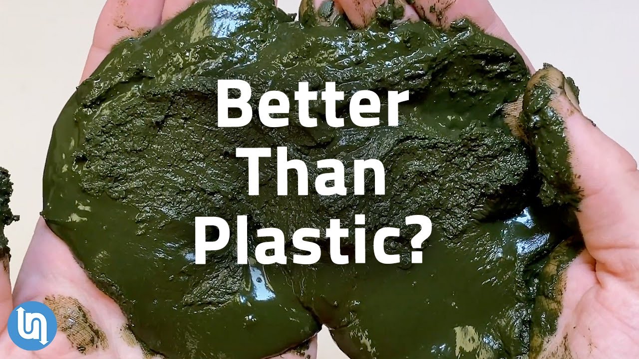 Why Algae May Be The Next Gen Plastic