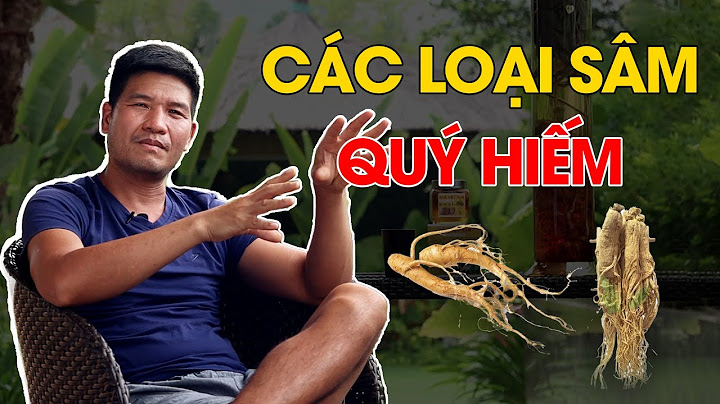 Việt nam có bao nhiêu loại sâm