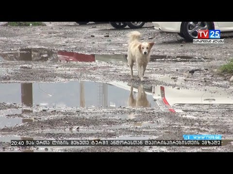 გენერალ ასლან აბაშიძის ქუჩის სარებილიტაციო სამუშაოები იანვრის თვეში დაიწყება