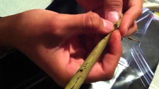 How To Roll A Beautiful Blunt