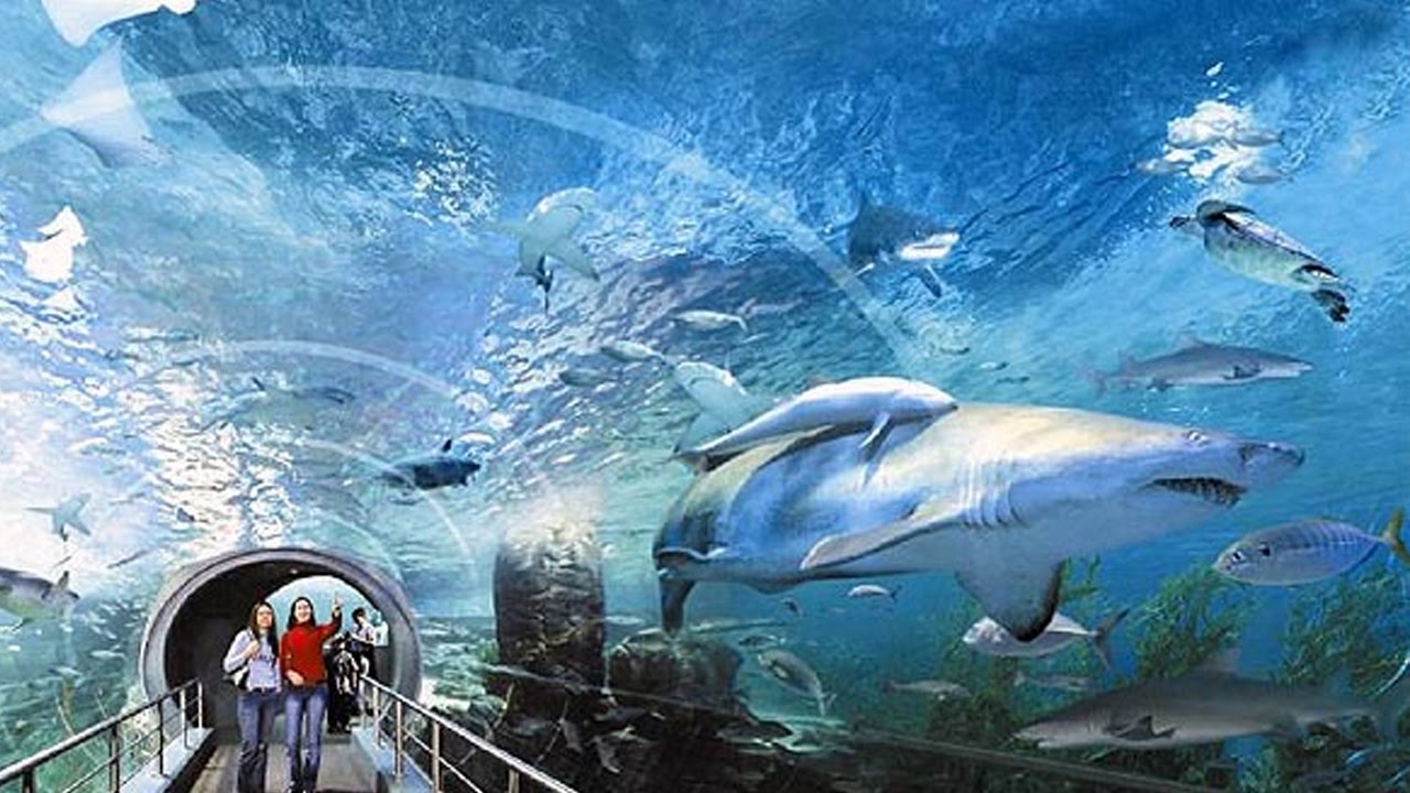 RENCANA KE BANGKOK? 10 Tempat Wisata di Bangkok Yang Harus Dikunjungi