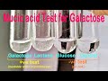 Mucic Acid Test Quiz