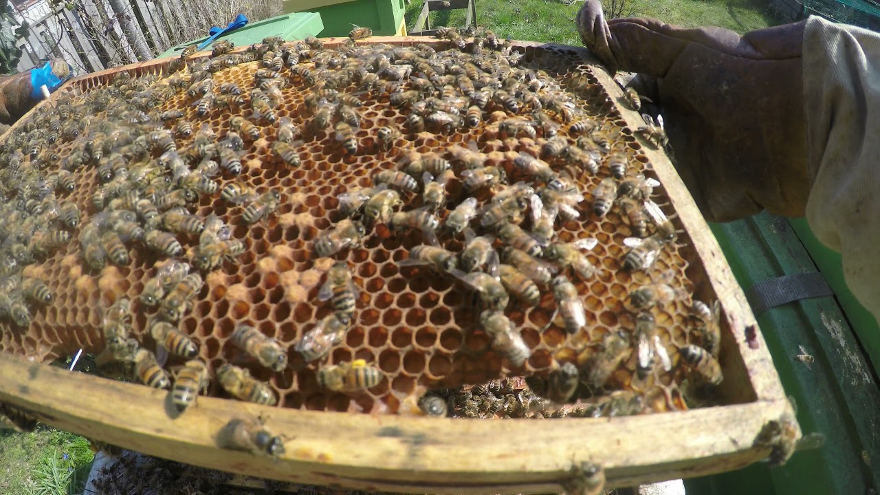 Vårgenomgång 210418