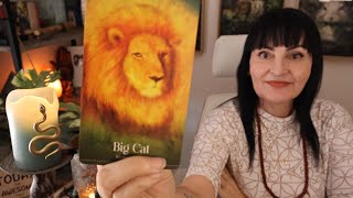 видео: Перед большими переменами становится очень тихо — Коллективное гадание на картах Таро картинка: Перед большими переменами становится очень тихо — Коллективное гадание на картах Таро