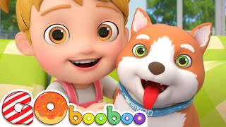 Bingo 🐶 Canções Para Crianças | GoBooBoo Músicas Infantis