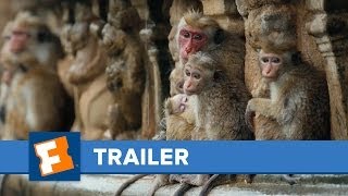 Monkey Kingdom  Trailer HD | Trailer | FandangoMovies