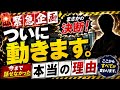 【緊急企画】新しい時代に向けて動き出します‼︎Ver623【カーメン君】【チューリップ】【球根】【宿根】