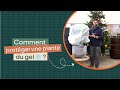 Comment protéger une plante pour l'hiver avec un voile d'hivernage ? Tuto &amp; Astuces
