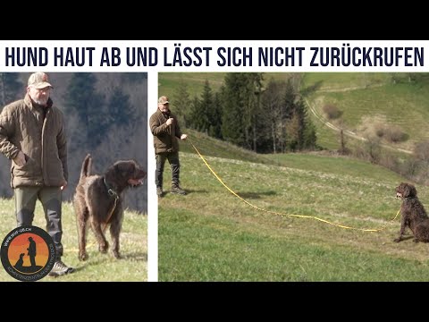 Video: Wie behebe ich das Abrufen des Kanalinfospektrums?