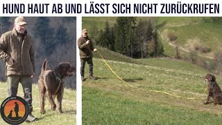 Hund „an sich binden“ und abrufbar machen | Hundeschule U.B.