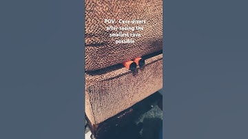 POV: Cave divers after seeing the smallest cave possible