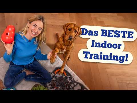 5 Indoor-Spiele, die