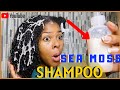 Homemade SEA MOSS Shampoo | DIY for Dry + Brittle Natural hair