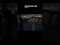 He sounded so sad w/ mrcheekibreeki and rifleshoot3r #seaofthieves #sot #pirate #squad #funnymoment