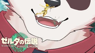 【初見-ういみ-】新年あけましティおめでとうござアキン【ブレワイと間違えて購入しました＾＾】