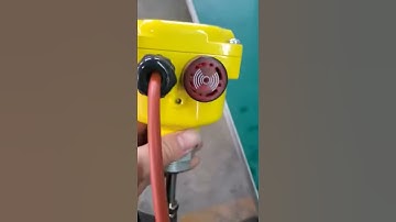 Self testing new design rotary paddle level sensor