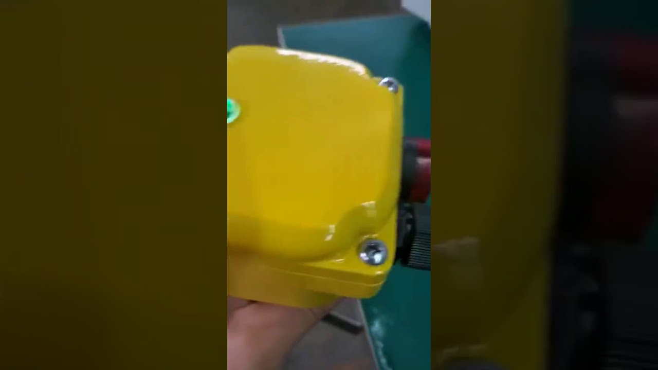 Self testing new design rotary paddle level sensor - YouTube