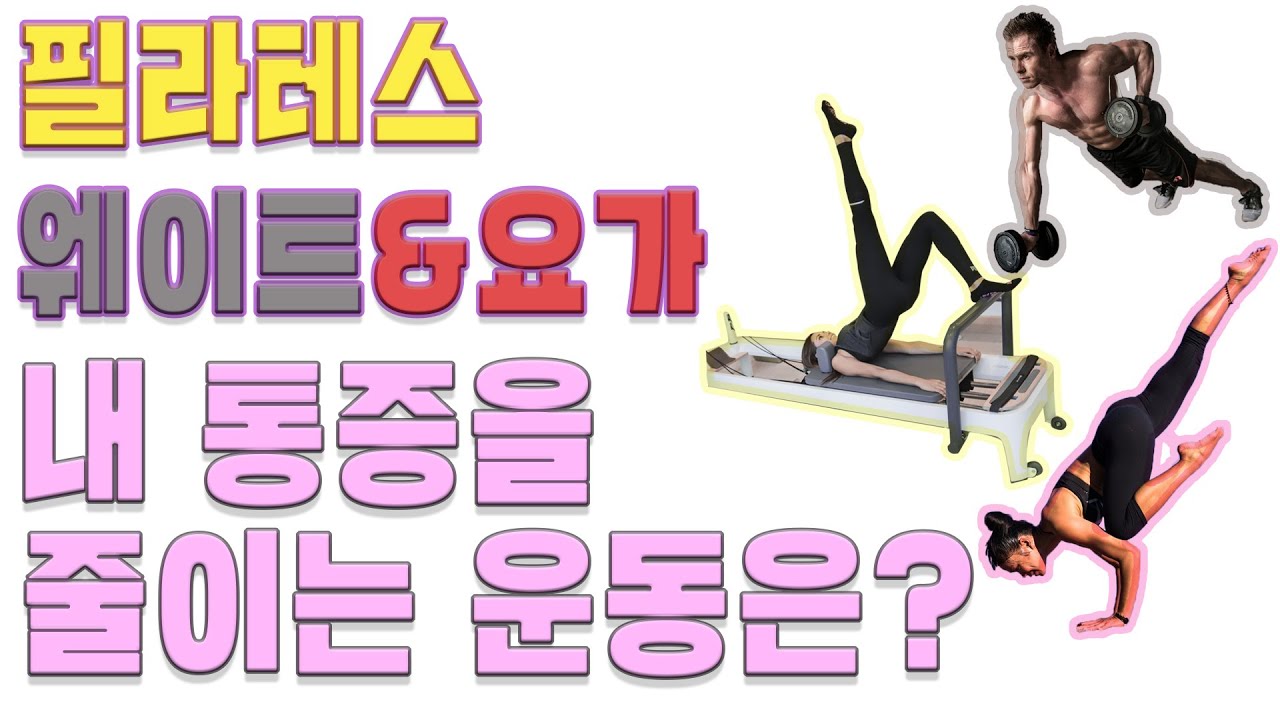 필라테스 요가 헬스(PT) 차이와 나에게 최적의 운동은?(feat 척추골반 체형별 운동 선택방법 및 자격증)