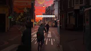 Amsterdamda Bisiklet Sürmek