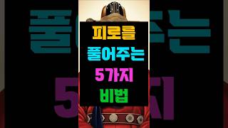 만성 피로를 풀어주는 5가지 비법|허준의 동의보감 #피로회복 #허준 #동의보감 #기혈순환 #시니어건강 #만성피로 #양생법 #자연치유 #건강습관 #피로해소