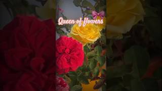 Chuttamalle Song nature love flowers