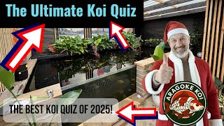 De ultieme koi-quiz - de beste koi-quiz van 2025! #koi