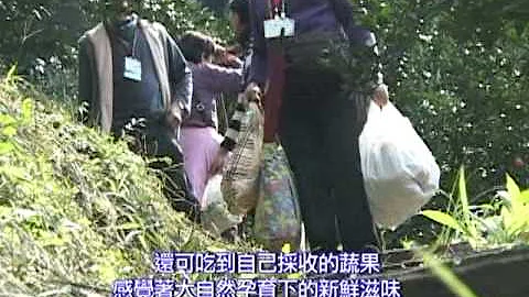 跟著台灣農場達人去旅行-中文8分鐘 - 天天要聞