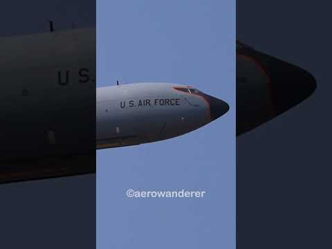    135       2025  135   
