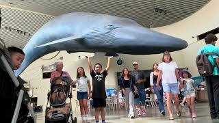 Aquarium of the pacific in long beach