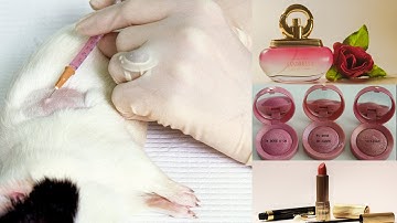 Animal Testing - It