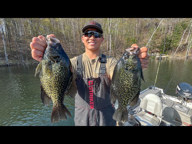 Fishing for GIANT Spawning Crappies! (CATCH CLEAN COOK) class=