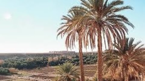 الشيخ شعبان الصياد رحمه الله\ ما تيسر من سورة الحديد