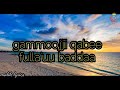 Dr Ali Birraa Bareeda Uumaa By Lyrics Dr Ali Birraa Bareeda Uumaa By Lyrics