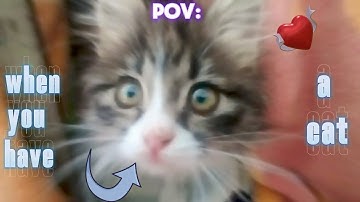 This is the first video from my channel. (Help mee)🥹💝💝💝