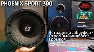 Эстрадный саб или Мидбасс /PHOENIX SPORT 300 Прослушка близь/даль Мелкие переделки по машине