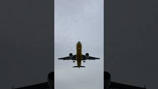 Cebu Pacific A320 #planespotting #planespotters Cebu Pacific A320 #planespotting #planespotters