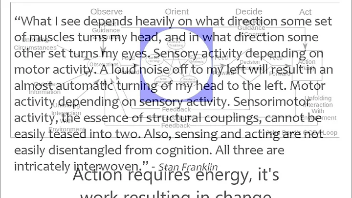 OODA loop micro course Action