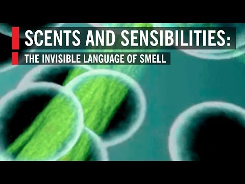 Scents and Sensibilities: The Invisible Language of Smell Instructional Video Scents and Sensibilities: The Invisible Language of Smell Instructional Video