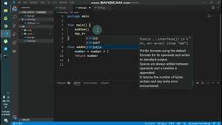 go lang  func part-2 args and return | Go langTutorial