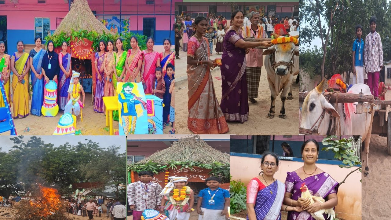 /bhogi సంక్రాంతి celebrations 🍾 ️ /అంగరంగ వైభవంగా నిర్వహించారు badvel ...
