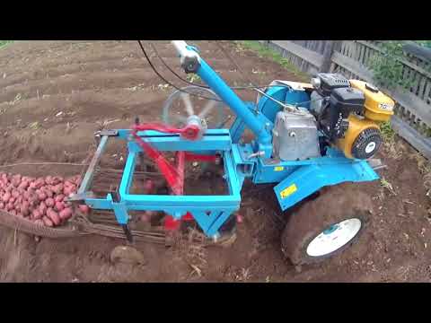 Videó: Csináld Magad Burgonyaásó Járó Traktorhoz: Egy Házilag Zúgó Burgonyamásó Méretei. Hogyan Készítsünk Szállítószalagos Burgonyásót Rajz Szerint?