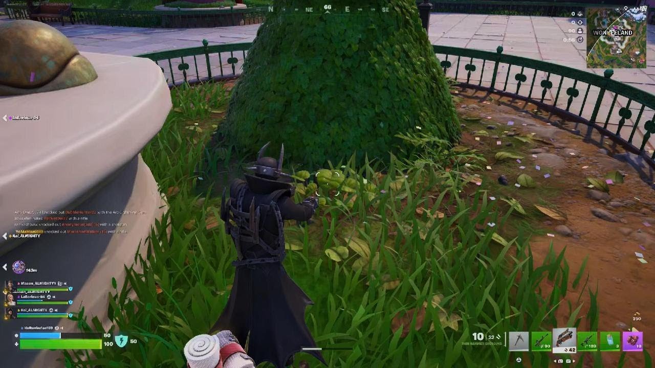 Fortnite_20260116174131