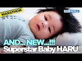 [1HR] 🥰Haru😍Marathon😂 Pt.1🤭 [The Return of Superman] | KBS WORLD TV