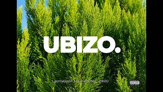 gontsejustin - Ubizo (Official Audio) ft. Nomathemba