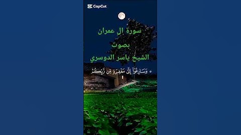 سورة آل عمران - الآية 133 - بصوت الشيخ ياسر الدوسري 😌 - القرآن الكريم ❤️❤️❤️
