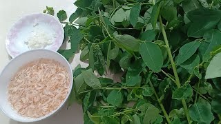 MÓN NGON MIỀN QUÊ