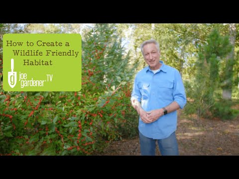 How to Create a Wildlife Friendly Habitat in Your Garden or Landscape