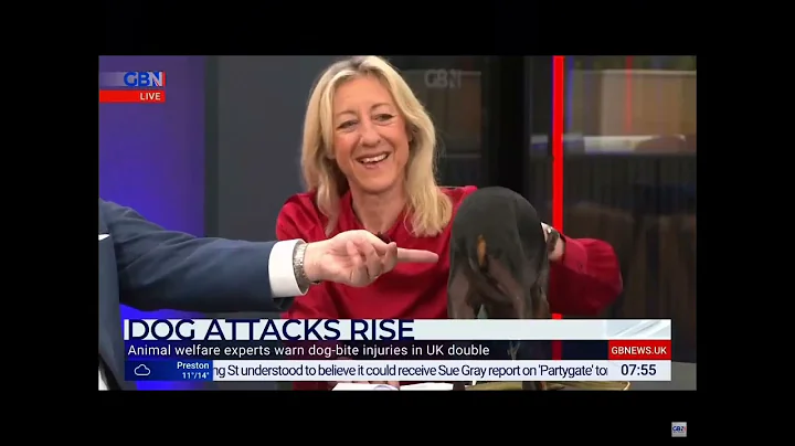 Anna Webb on GB News talking about dog attacks.
