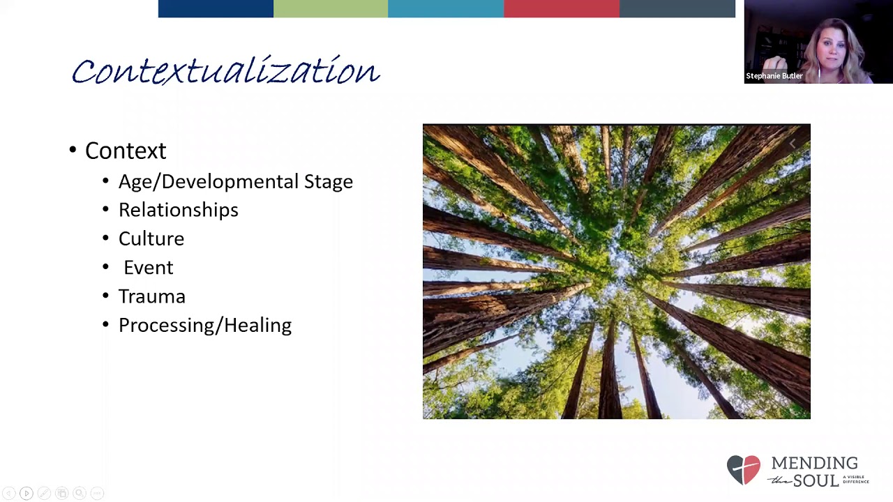 Fall Webinar Series - The Role of Emotion - YouTube